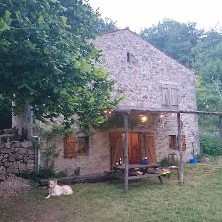 Maison De Vignes De Tournemire Tournemire  المظهر الخارجي الصورة