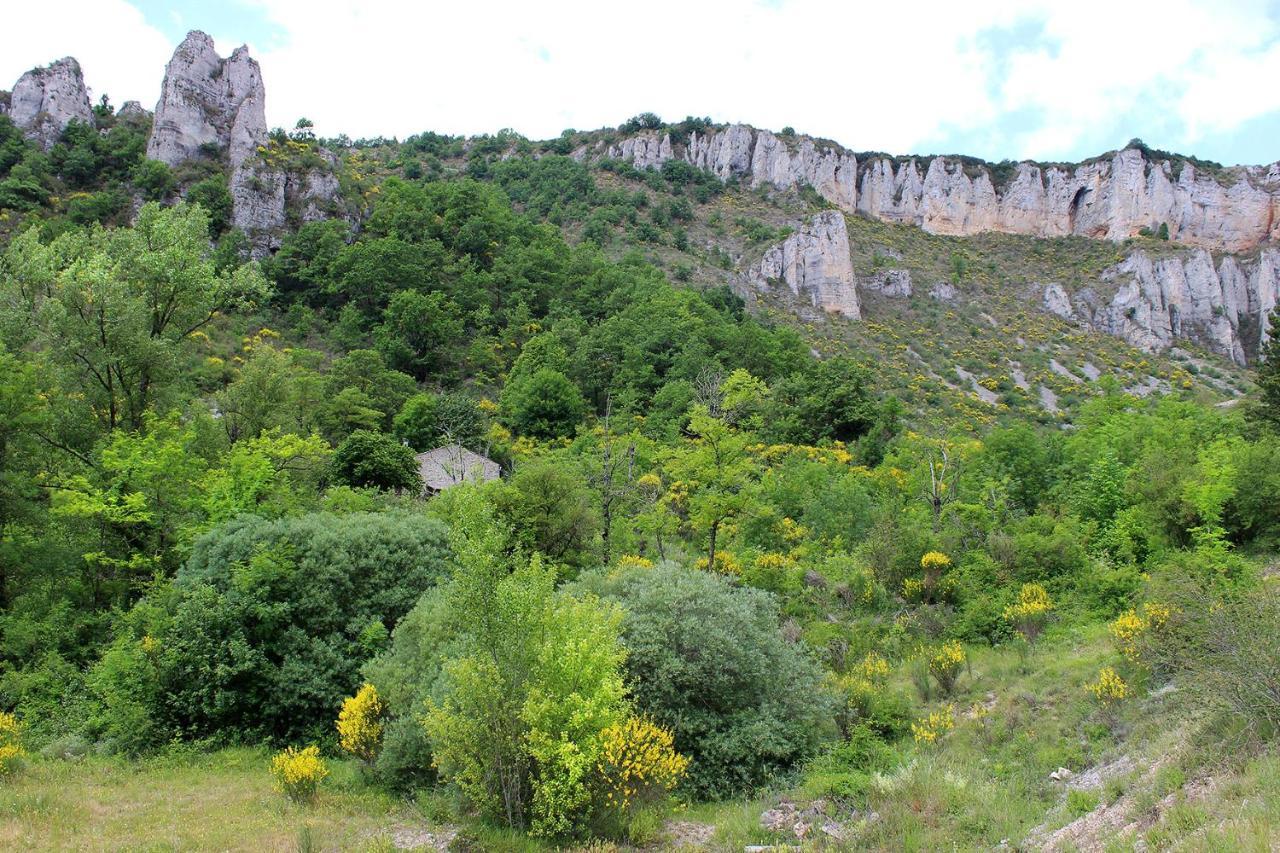 Maison De Vignes De Tournemire Tournemire  المظهر الخارجي الصورة