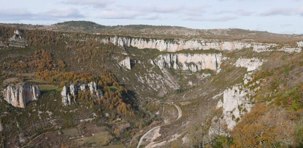 Maison De Vignes De Tournemire Tournemire  المظهر الخارجي الصورة