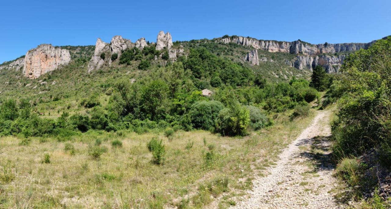Maison De Vignes De Tournemire Tournemire  المظهر الخارجي الصورة