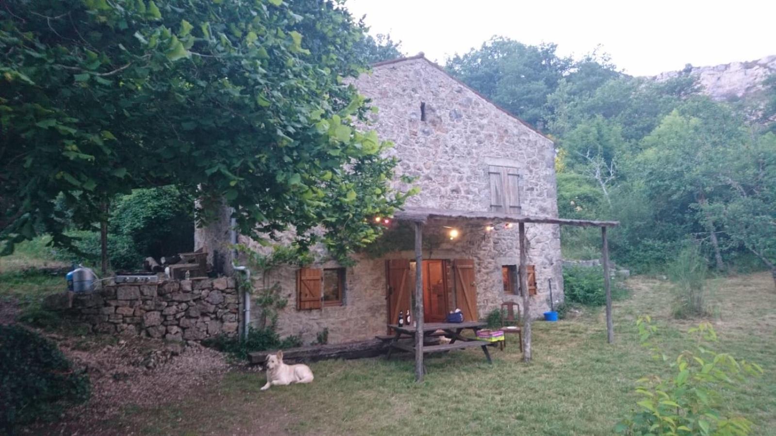 Maison De Vignes De Tournemire Tournemire  المظهر الخارجي الصورة